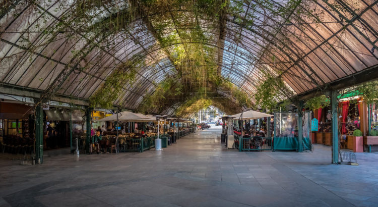 rua coberta em gramado