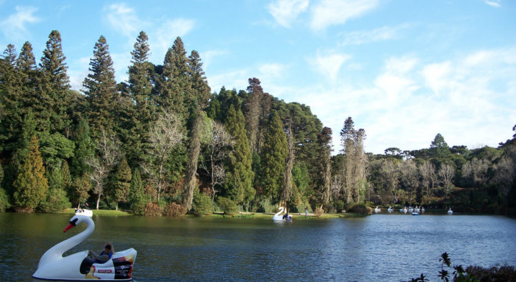 lago negro