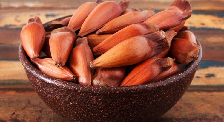 pratos típicos gaúchos